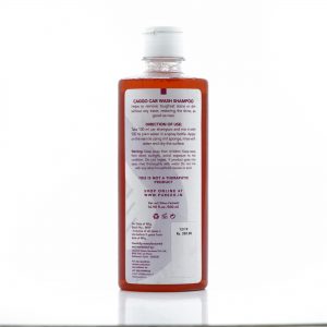 car wash shampoos puezo